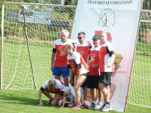 Volejbalový turnaj MROPSZ 26.8.2017 v Holasovicích